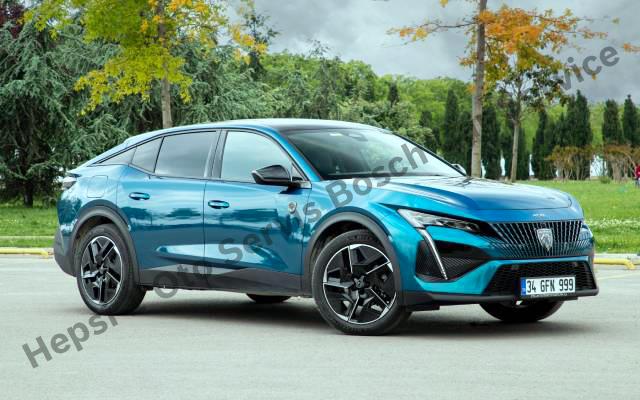 Uzman Kadro ile Peugeot Servisi Deneyimi