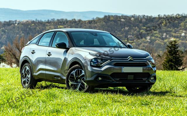 Citroen Araçlar İçin Güvenilir Servis Deneyimi